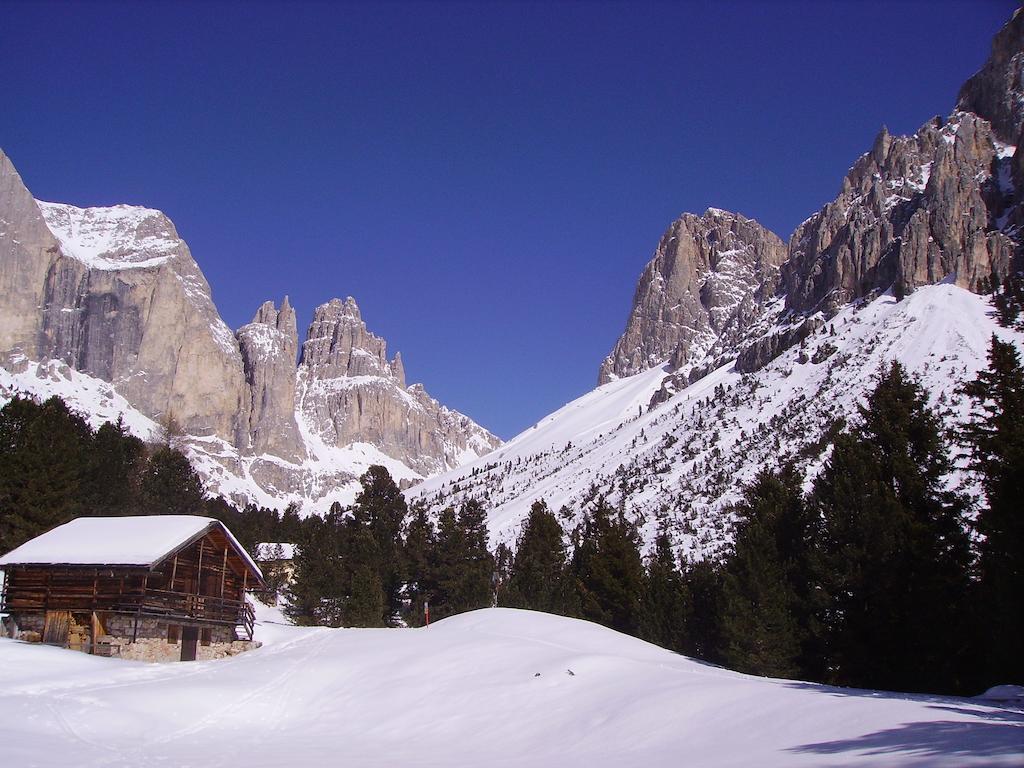 Rifugio Gardeccia Hutte Hotel ปอซซาดิฟัซซา ภายนอก รูปภาพ